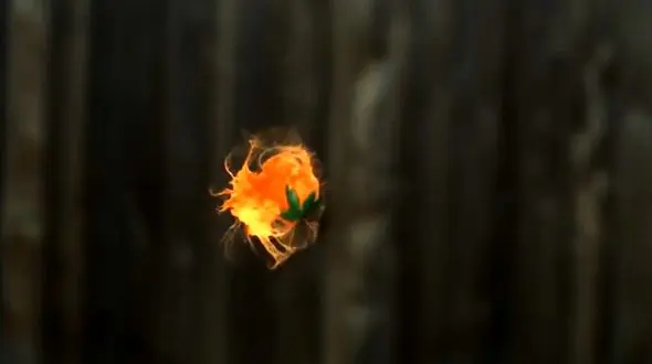 ثبت برخورد دو گلوله پینت بال با  28 هزار فریم در ثانیه + فیلم