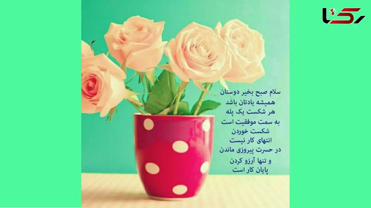 فال روزانه شخصی / 23 دی ماه + فیلم
