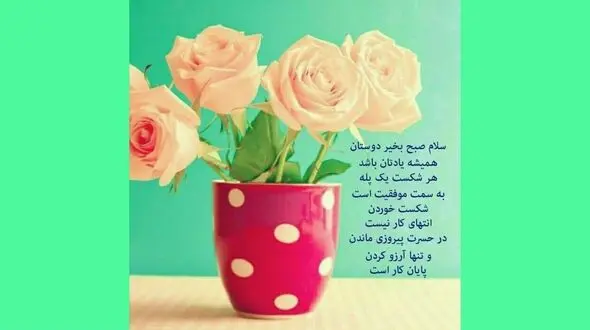 فال روزانه شخصی / 23 دی ماه + فیلم