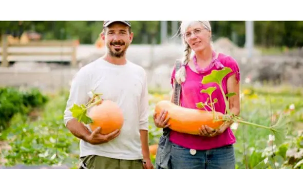 کدوی مسما بعد ا ز 8 قرن + عکس