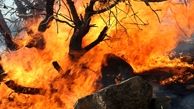 فقدان سامانه هشدار آتش در منابع طبیعی کشور / پیشنهاد پژوهشگاه علوم جوی چیست؟
