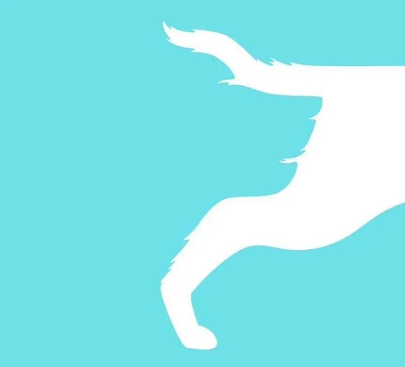 پای سگ