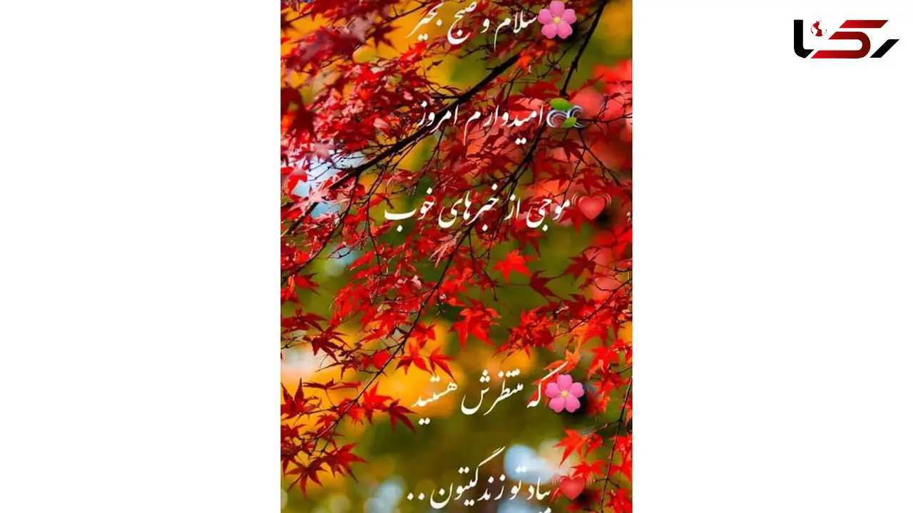 فال ابجد امروز / 9 آذر + فیلم