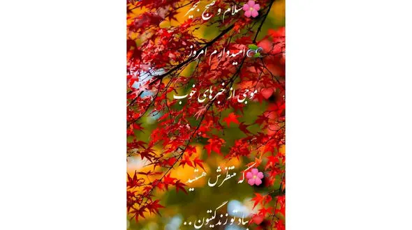 فال ابجد امروز / 9 آذر + فیلم