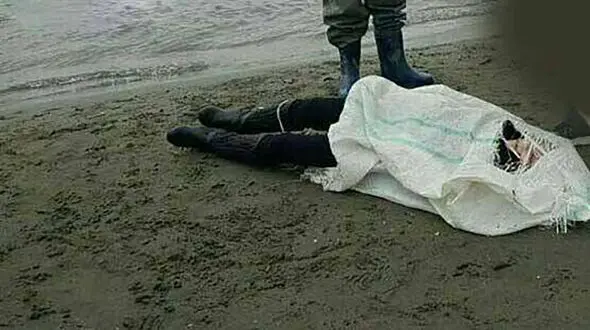 جسد مرد ناشناس آرامش جزیره قشم را بهم ریخت