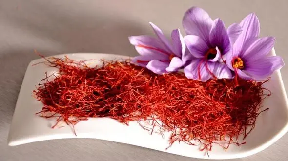 زعفران دوباره گران شد