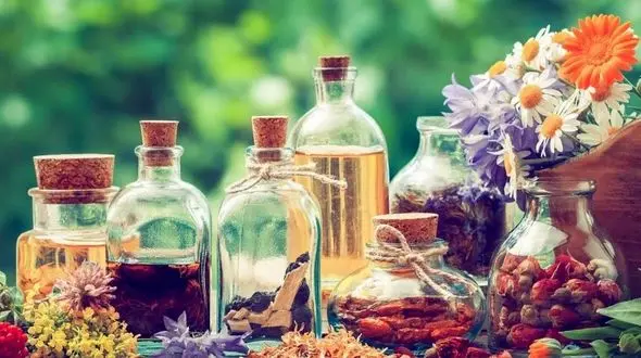 با این عرقیجات گیاهی فشار خون نمی گیرید