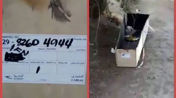عکس تابوت رها شده در کنار جاده فرودگاه اصفهان / جنازه مسافر کویت بود!
