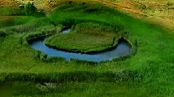 این طبیعت زیبا در ایران با چمن‌های متحرک شکل گرفته + فیلم