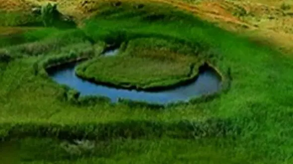 این طبیعت زیبا در ایران با چمن‌های متحرک شکل گرفته + فیلم