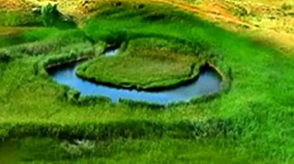 این طبیعت زیبا در ایران با چمن‌های متحرک شکل گرفته + فیلم