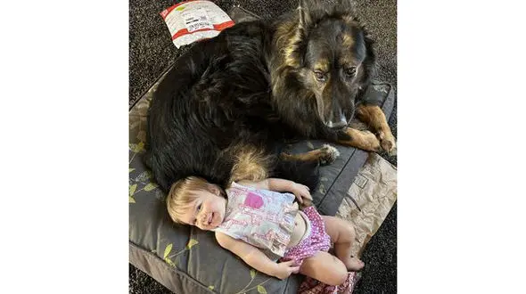  نوزادی که مثل سگ راه رفته و غذایشان را می‌خورد + عکس های دردناک