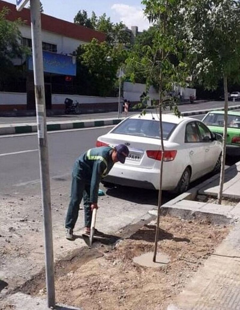 کاشت نهال در محل کشف جسد بابک خرمدین 3