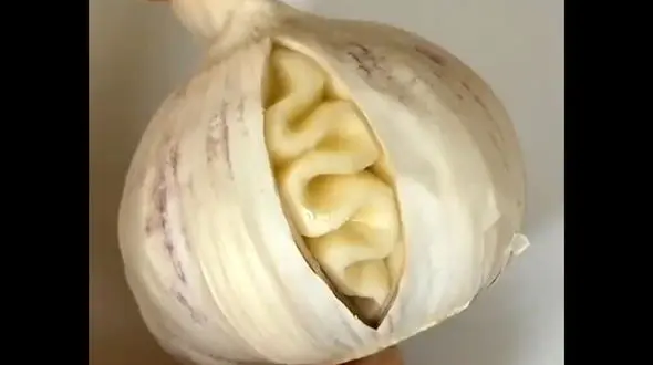 تزئین سیر به شکل زیبا + فیلم