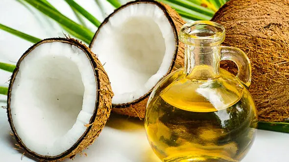 روغن نارگیل عامل اصلی افزایش کلسترول خون