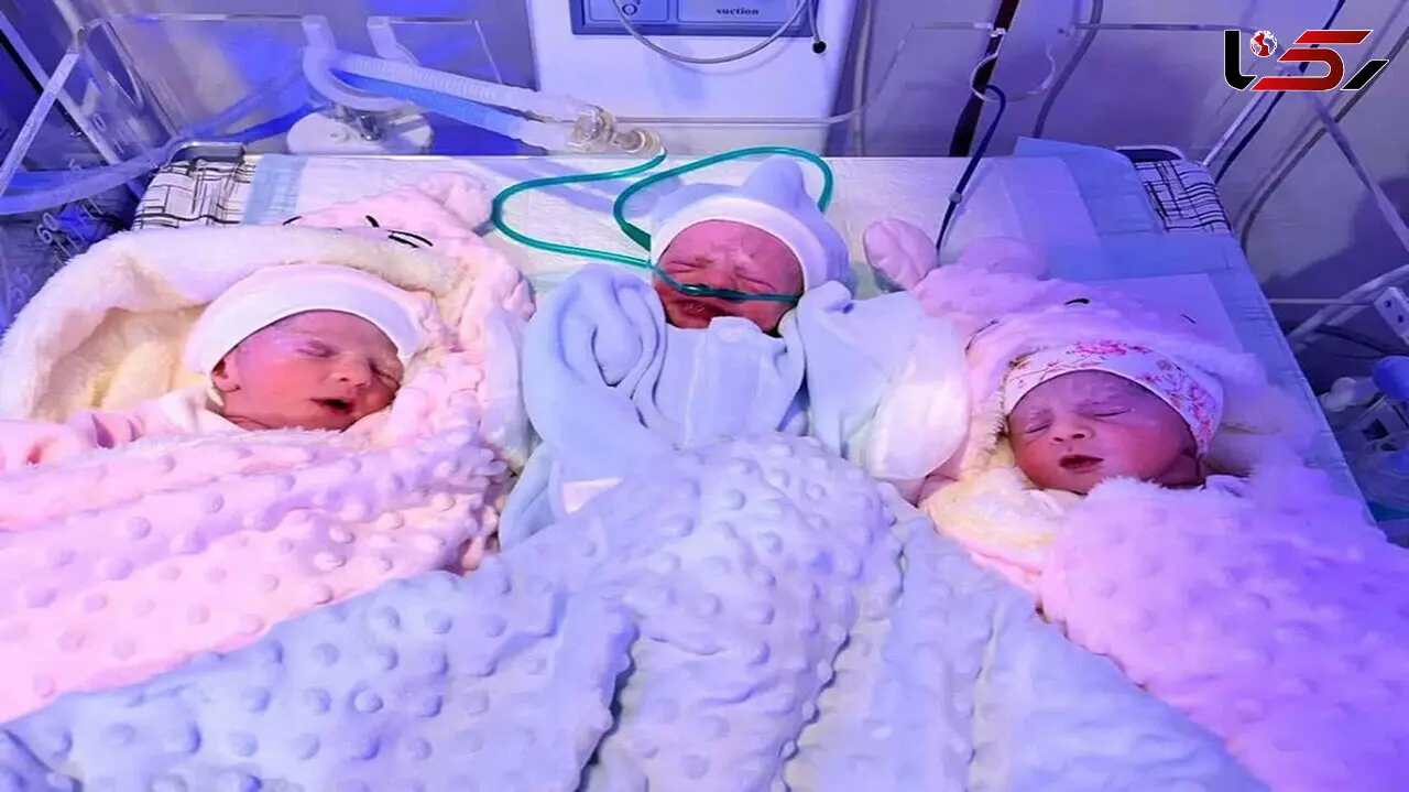 عکس دیدنی از تولد 3 قلوها در تایباد