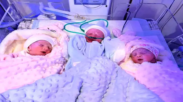 عکس دیدنی از تولد 3 قلوها در تایباد