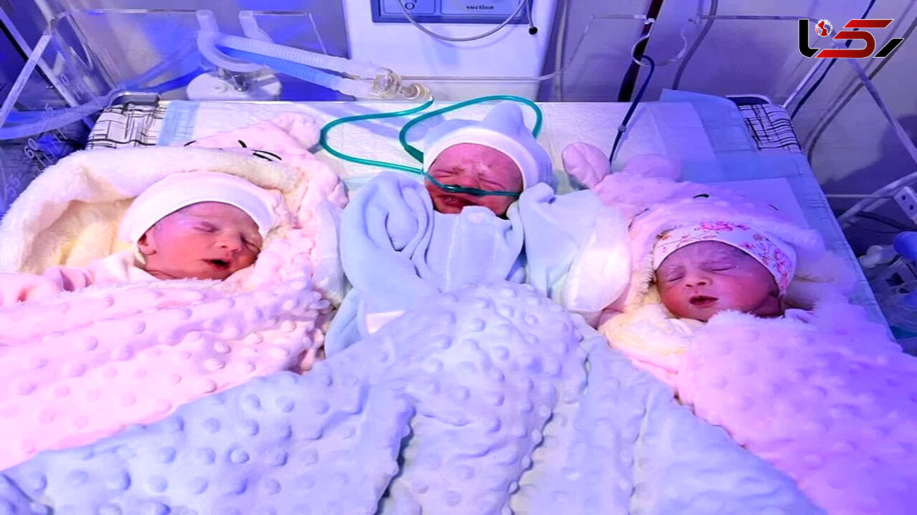 عکس دیدنی از تولد 3 قلوها در تایباد