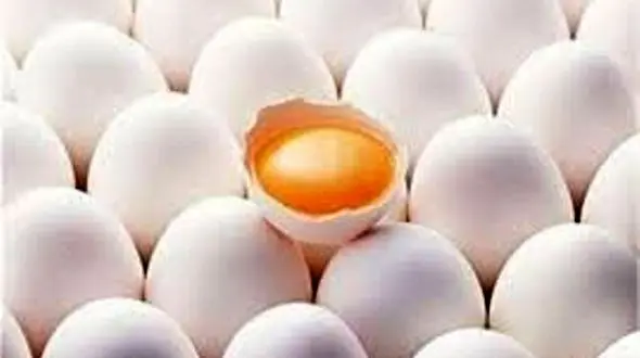 تخم‌مرغ ۳ روزه کیلویی ۸۰۰ تومان گران شد