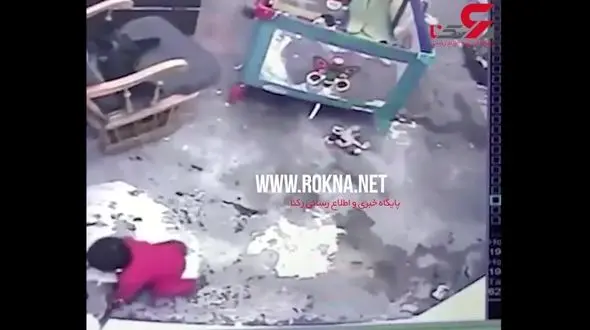 اقدام گربه قهرمان در نجات جان یک نوزاد + فیلم  / کلمبیا