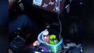فیلم شیره کشی با پیک نیک در اتوبوس پر از مسافر / راننده بازداشت شد
