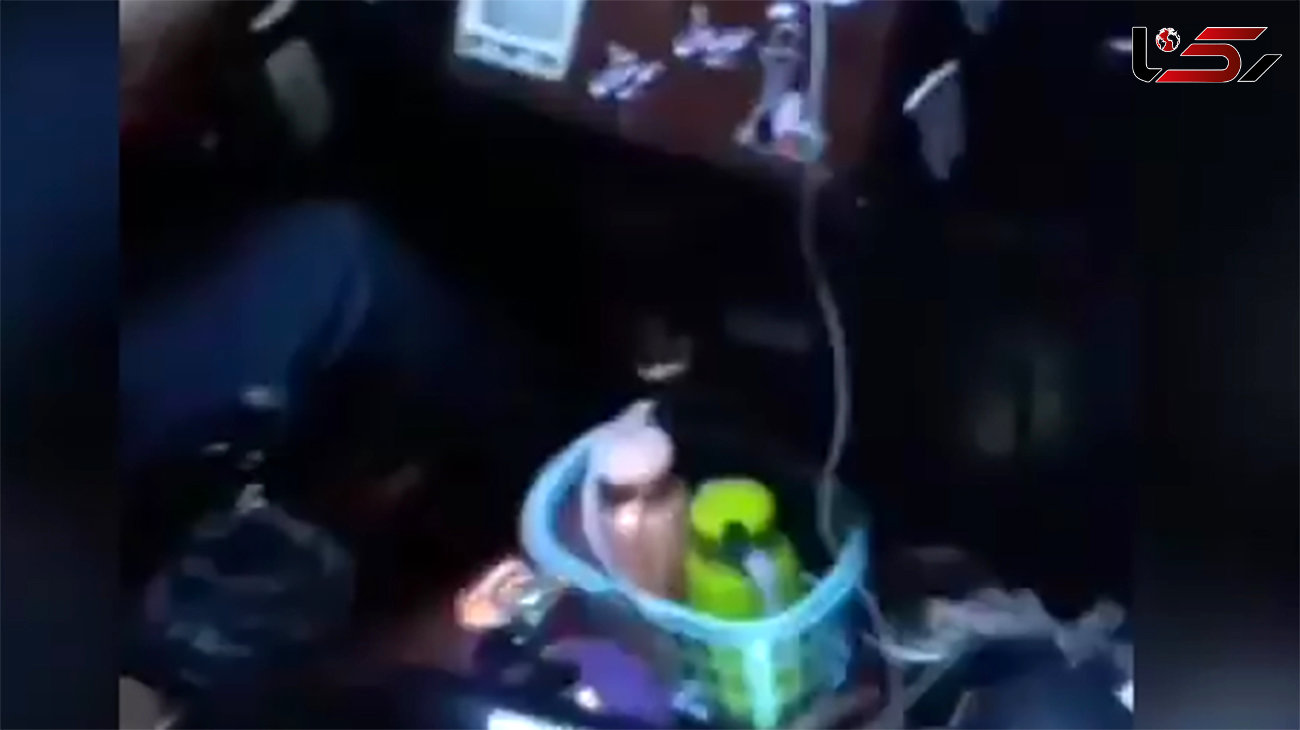 فیلم شیره کشی با پیک نیک در اتوبوس پر از مسافر / راننده بازداشت شد