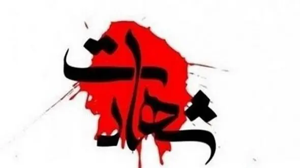 شهادت 3 تن از کارکنان یگان نیروی زمینی ارتش در جریان تمرینات صحرایی + جزییات