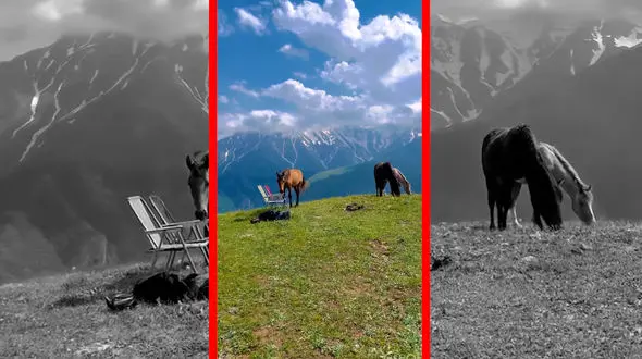 فیلم اسب‌های آزاد در ارتفاعات البرز