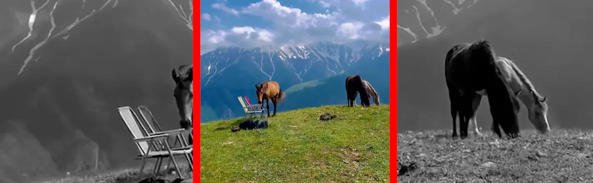 فیلم اسب‌های آزاد در ارتفاعات البرز