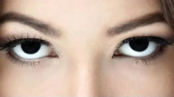 بررسی رنگ چشم انسان ها / دلایلی که رنگ چشم مشکی نیست