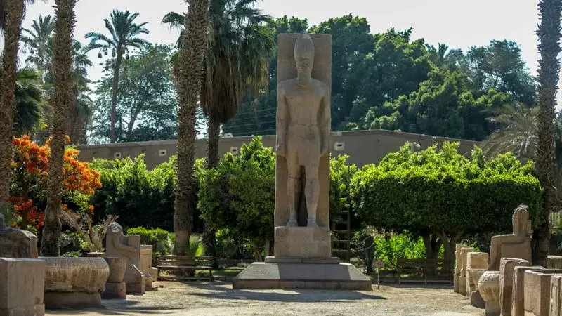 میت رهینه تصویر
