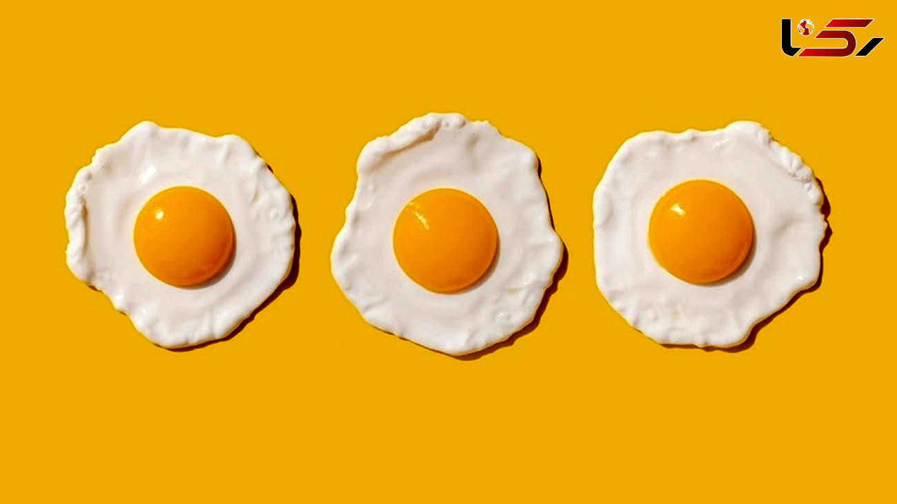 تازه ترین تحقیقات روی مصرف تخم مرغ که شما را شوکه می کند