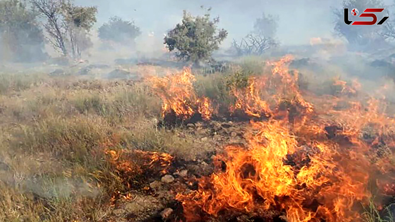 بازداشت مردی که به تنهایی 3 هزار و 500 متر مربع از مراتع میانه را به آتش کشید