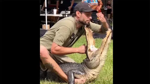 ببینید / لحظه پر استرس شوخی با یک کروکودیل! + فیلم دلهره آور