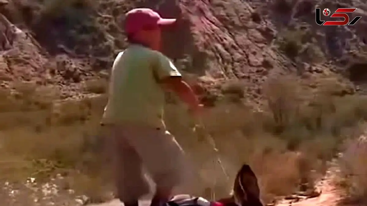 آواز محلی؛ پسر عشایر رو الاغ وایساده با آهنگ ناری ناری چه هنرنمایی دست گرم کنی میره