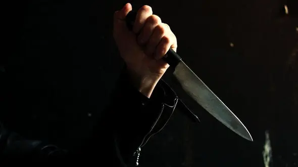 دستگیری اوباش قمه به دست بزرگراه اردبیل- نمین