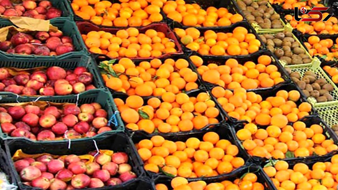ممنوعیت صادرات سیب درختی و پرتقال لغو شد