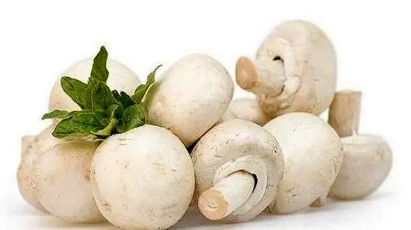 این سفید خوشمزه برای دیابتی ها مفید است