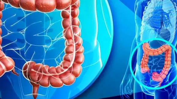 مزایا و روش‌ های مختلف پاکسازی روده