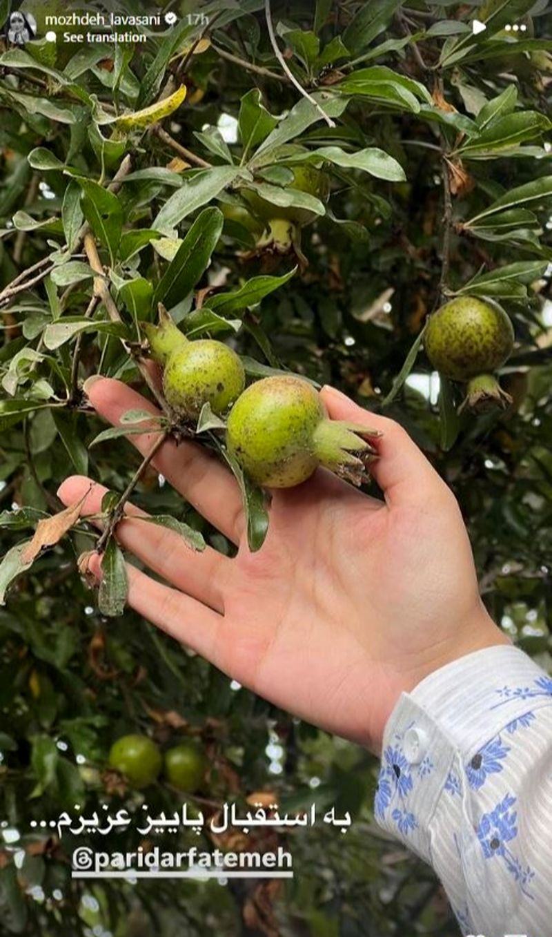 مژده لواسانی