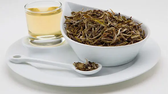 خواص چای سفید را بیشتر بشناسید