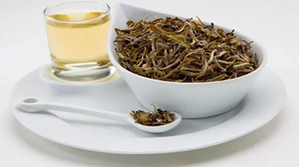 خواص چای سفید را بیشتر بشناسید