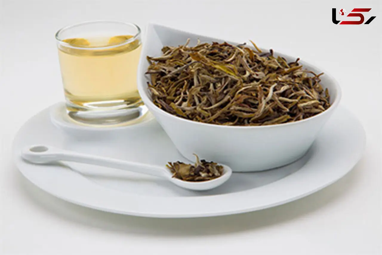 خواص چای سفید را بیشتر بشناسید