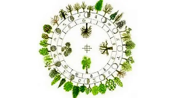 تست : فال درخت طبق تاریخ تولدتان را ببینید !