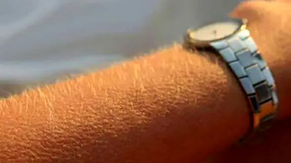 حقایقی جالب که دید شما به جهان را تغییر می‌دهد! + تصاویر 