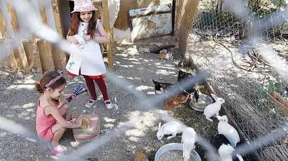  کلاس درس کنار لانه خرگوش‌ها در غرب تهران + عکس