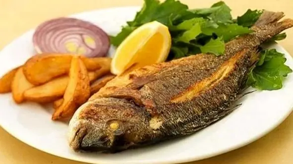 5 خوراکی مفید برای ناراحتی های بدنی