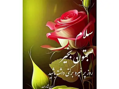 فال حافظ با تفسیر 24 آذر 