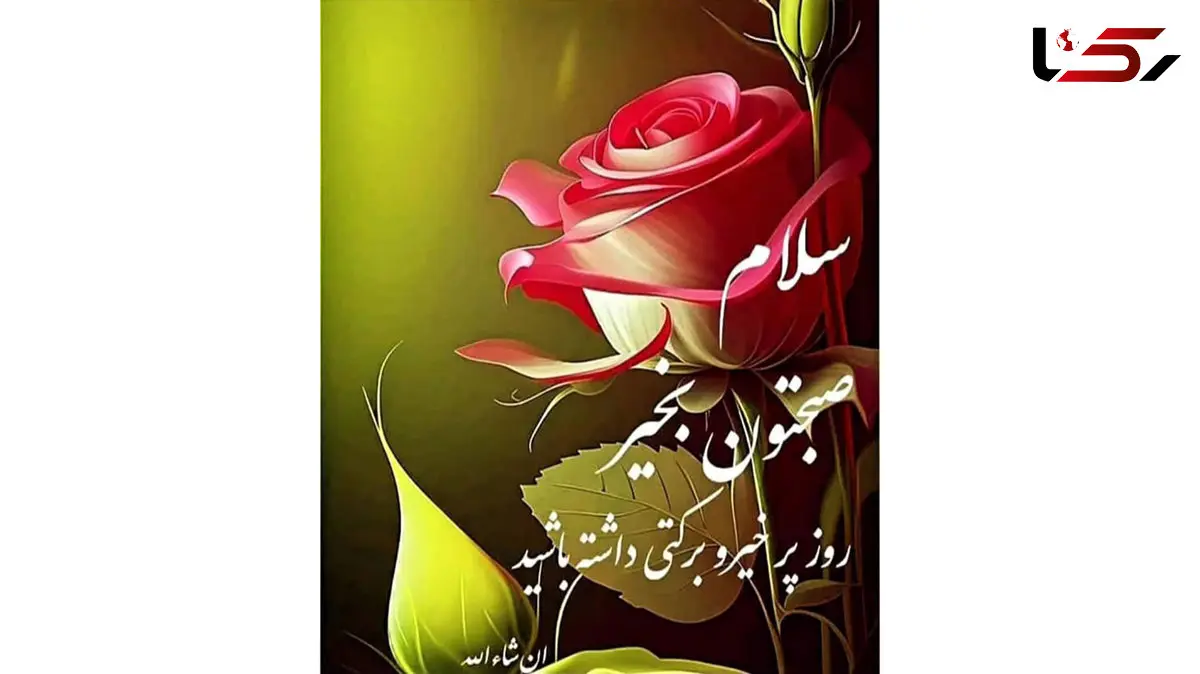 فال حافظ با تفسیر 24 آذر 