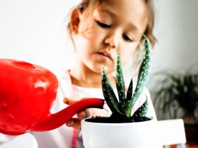 گیاهان آپارتمانی مضر برای کودکان: کدام گیاهان خطرناک هستند؟
